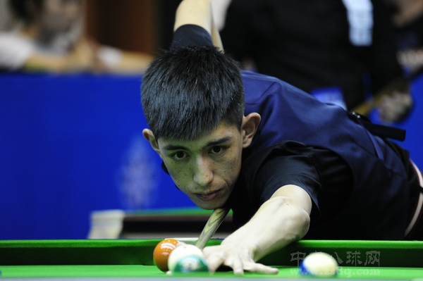 阿拉维斯率 阿拉维斯率