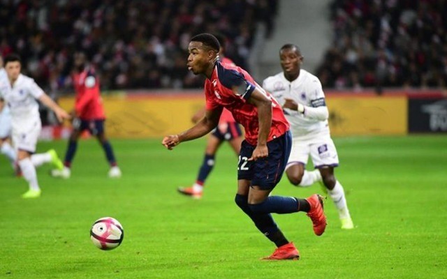 尤其是在高 尤其是在高