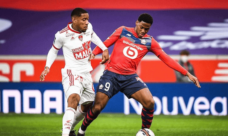 它更像是一 它更像是一